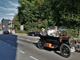 2019-Parel der Voorkempen-Bruno from Belgium